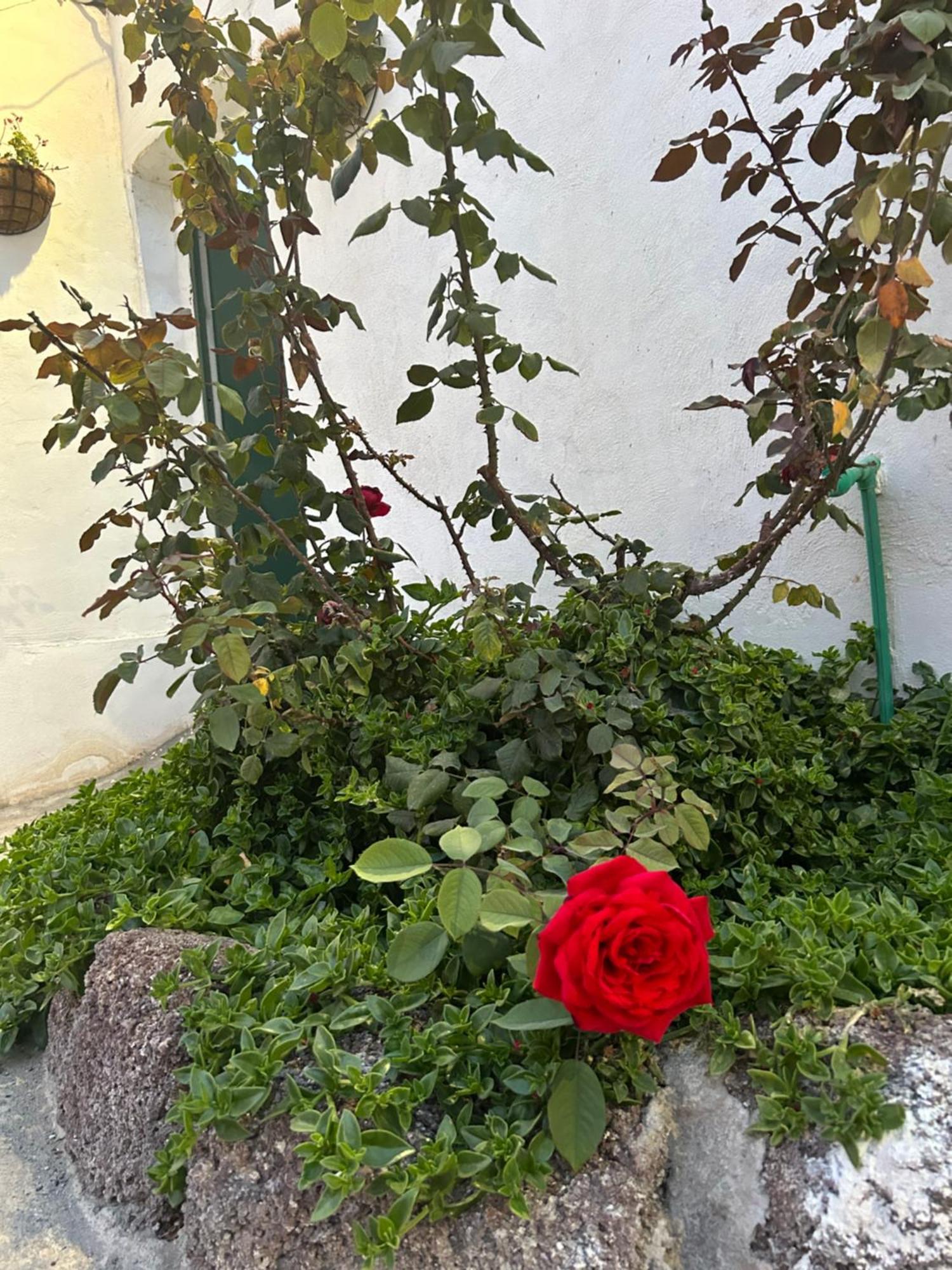 Casa Rural El Pasil อาโรนา ภายนอก รูปภาพ